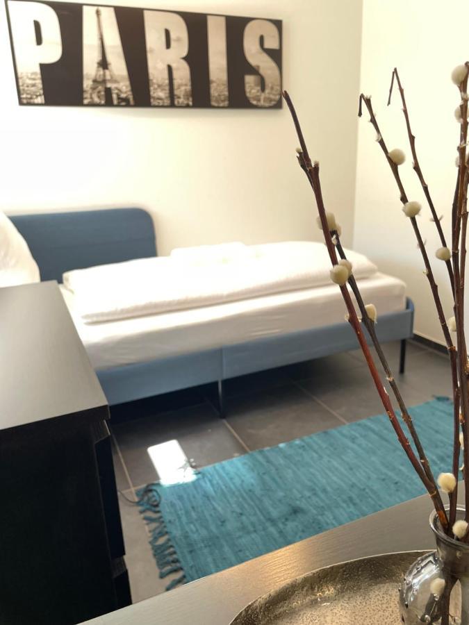 Moderne Stadtwohnung Inkl. Tiefgaragenplatz Bregenz Eksteriør billede